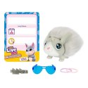Zestaw little live pets mama surprise króliki