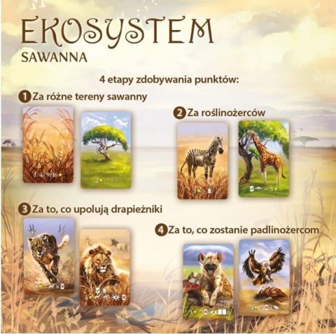 Gra ekosystem 3 - sawanna Gra ekosystem 3 - sawanna