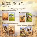 Gra ekosystem 3 - sawanna
