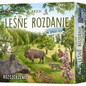 Gra leśne rozdanie: na skraju lasu