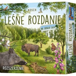 Gra leśne rozdanie: na skraju lasu