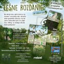 Gra leśne rozdanie: na skraju lasu