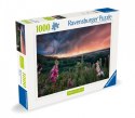 Puzzle 1000 elementów nadchodzi burza