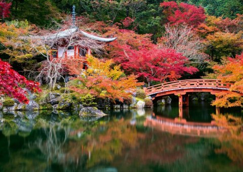 Puzzle 1000 elementów ogród dai go-ji kyoto japonia Puzzle 1000 elementów ogród dai go-ji kyoto japonia