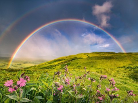 Puzzle 1500 elementów tęcza nad łąka Puzzle 1500 elementów tęcza nad łąka