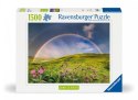 Puzzle 1500 elementów tęcza nad łąka