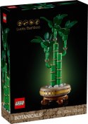 Klocki botanicals 10344 dracena sandera