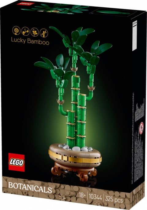 Klocki botanicals 10344 dracena sandera Klocki botanicals 10344 dracena sandera