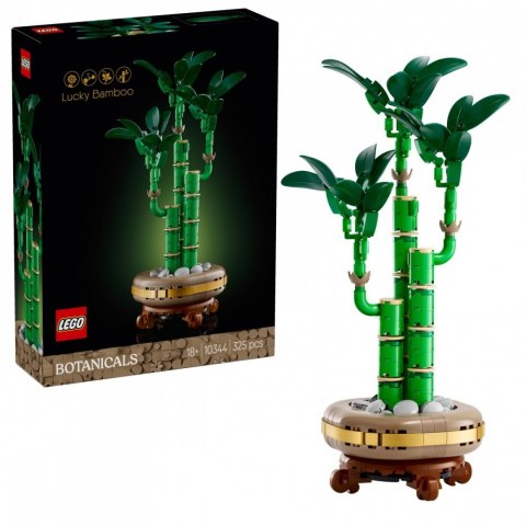 Klocki botanicals 10344 dracena sandera Klocki botanicals 10344 dracena sandera