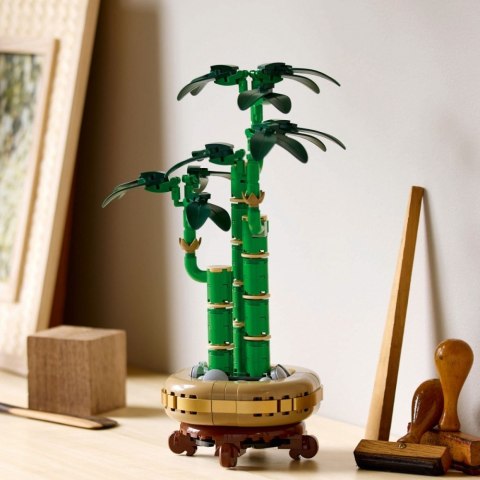 Klocki botanicals 10344 dracena sandera Klocki botanicals 10344 dracena sandera