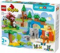Klocki duplo 10446 rodziny dzikich zwierząt 3 w 1