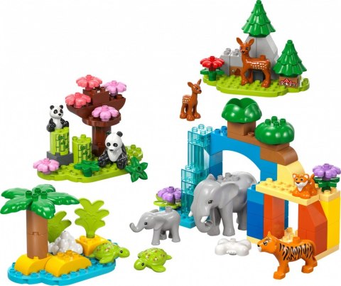 Klocki duplo 10446 rodziny dzikich zwierząt 3 w 1 Klocki duplo 10446 rodziny dzikich zwierząt 3 w 1