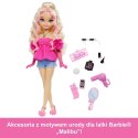 Lalka barbie dream besties malibu