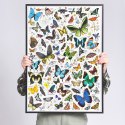 Puzzle puzzlove motyle 1000 elementów