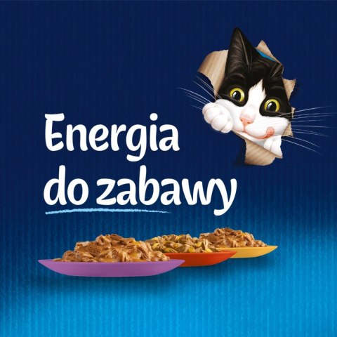 Felix Fantastic Mix Mięsny W Galaretce 44x85g Felix Fantastic Mix Mięsny W Galaretce 44x85g