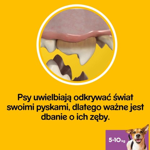 Pedigree DentaStix Przysmak Dentystyczny Dla Psów Od 4 Miesiąca I Wadze 5-10kg 110g Pedigree DentaStix Przysmak Dentystyczny Dla Psów Od 4 Miesiąca I Wadze 5-10kg 110g