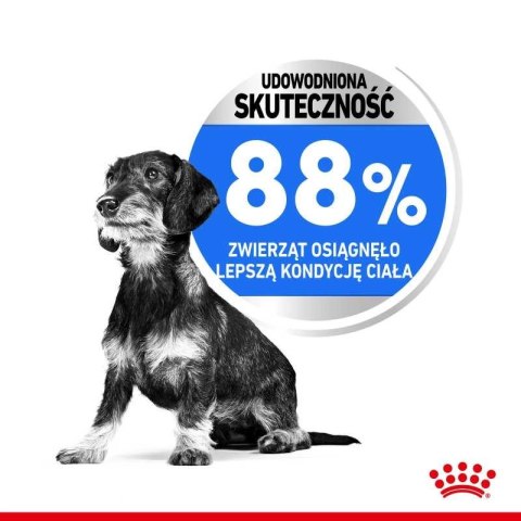 ROYAL CANIN CCN Mini Light Weight Care 8kg ROYAL CANIN CCN Mini Light Weight Care 8kg