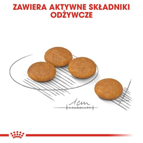 ROYAL CANIN Mini Dermacomfort 8kg ROYAL CANIN Mini Dermacomfort 8kg
