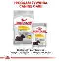 ROYAL CANIN Mini Dermacomfort 8kg