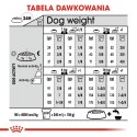 ROYAL CANIN Mini Dermacomfort 8kg