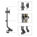 Uchwyt biurkowy do monitora Maclean, uniwersalny, 17"-32", 8kg, MC-853