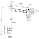 Uchwyt biurkowy do monitora LCD Maclean, podwójne ramię, VESA 75x75 oraz 100x100, 17-32", 8kg, MC-883
