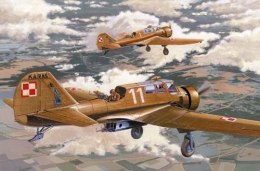 Model plastikowy pzl-23a karas early version