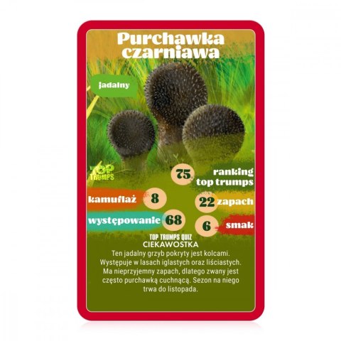 Gra karciana top trumps grzybobranie Gra karciana top trumps grzybobranie