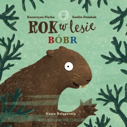 Książeczka rok w lesie. bóbr
