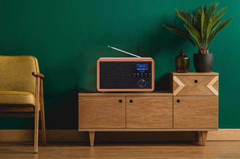 AD 1184 RADIO DAB + BLUETOOTH AD 1184 RADIO DAB + BLUETOOTH