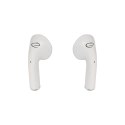 EH237W ES PERANZA SŁUCHAWKI DOUSZNE BLUETOOTH TWS ANTHE