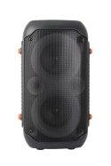 EP156 ES PERANZA GŁOŚNIK BT FM LED RGB KARAOKE SINGER
