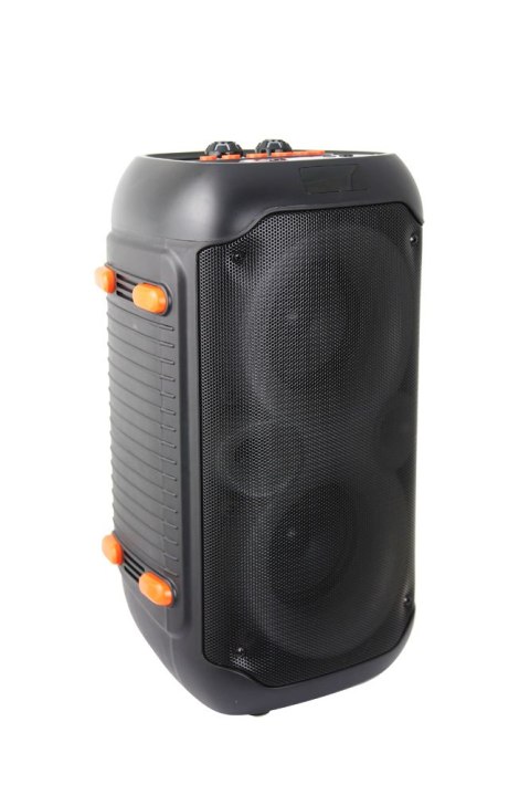 EP156 ES PERANZA GŁOŚNIK BT FM LED RGB KARAOKE SINGER EP156 ES PERANZA GŁOŚNIK BT FM LED RGB KARAOKE SINGER