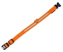 AG232C Obroża świecąca led 32-37cm orang AG232C Obroża świecąca led 32-37cm orang