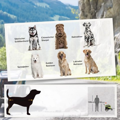 Przyczepka Rowerowa Dla Zwierząt Zielona 170x77x90cm PAKO D00-168V00GN