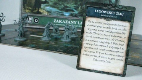 Gra bloodborne: zakazany las Gra bloodborne: zakazany las