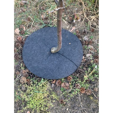 Zestaw krążków antychwastowych 3 szt. Bertoni - 60 cm, szary Zestaw krążków antychwastowych 3 szt. Bertoni - 60 cm, szary