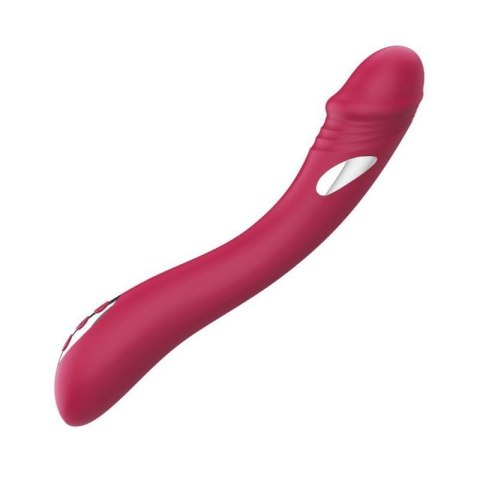 ZYRA Vibrator - Curve Vibe ZYRA Vibrator - Curve Vibe