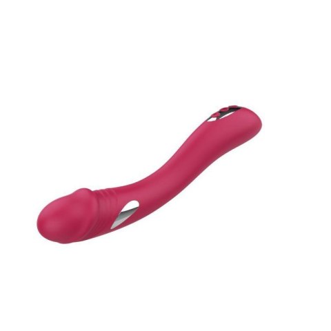 ZYRA Vibrator - Curve Vibe ZYRA Vibrator - Curve Vibe