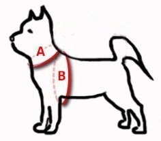 Dingo Reflex Szelki Odblaskowe Step-In Dla Psa Czarne Rozmiar 50 Dingo Reflex Szelki Odblaskowe Step-In Dla Psa Czarne Rozmiar 50