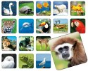 Memory zoo