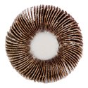 Ściernica listkowa trzpieniowa 60 x 15 x 6 mm, P80