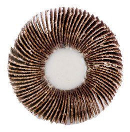 Ściernica listkowa trzpieniowa 60 x 15 x 6 mm, P80