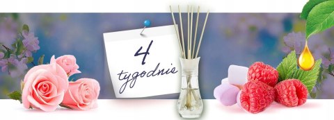 AIR WICK PACHNĄCE PATYCZKI TAJEMNICZE OGRODY Z DZIECIńSTWA/MYSTICAL GARDENS 30 ML AIR WICK PACHNĄCE PATYCZKI TAJEMNICZE OGRODY Z DZIECIńSTWA/MYSTICAL GARDENS 30 ML