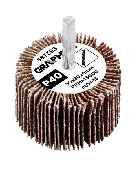 Ściernica listkowa trzpieniowa 50 x 30 x 6 mm, P40 Ściernica listkowa trzpieniowa 50 x 30 x 6 mm, P40