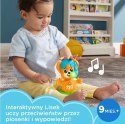 Zabawka muzyczna link squad lisek muzyczne przeciwieństwa