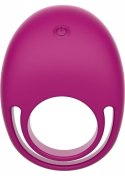 Put A RIng On It CRing Remote Fuchsia