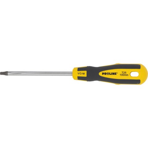 10193 Wkrętak torx security T25 10193 Wkrętak torx security T25