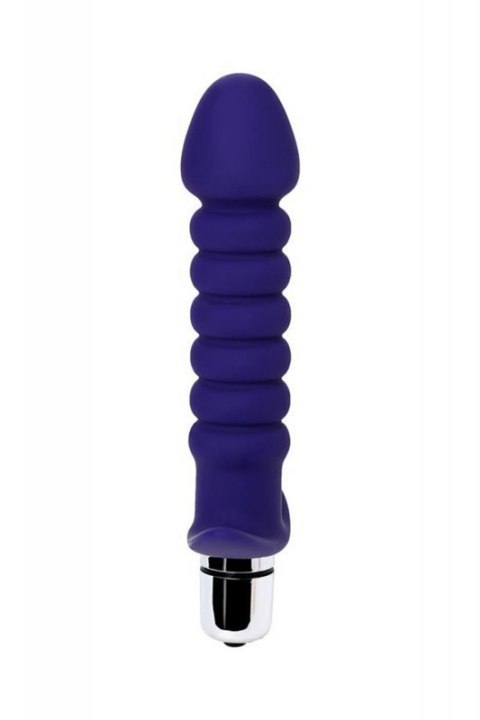 ToDo Condal Violet Anal Vibrator ToDo Condal Violet Anal Vibrator