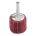 Ściernica listkowa trzpieniowa 30 x 25 x 6 mm, P100